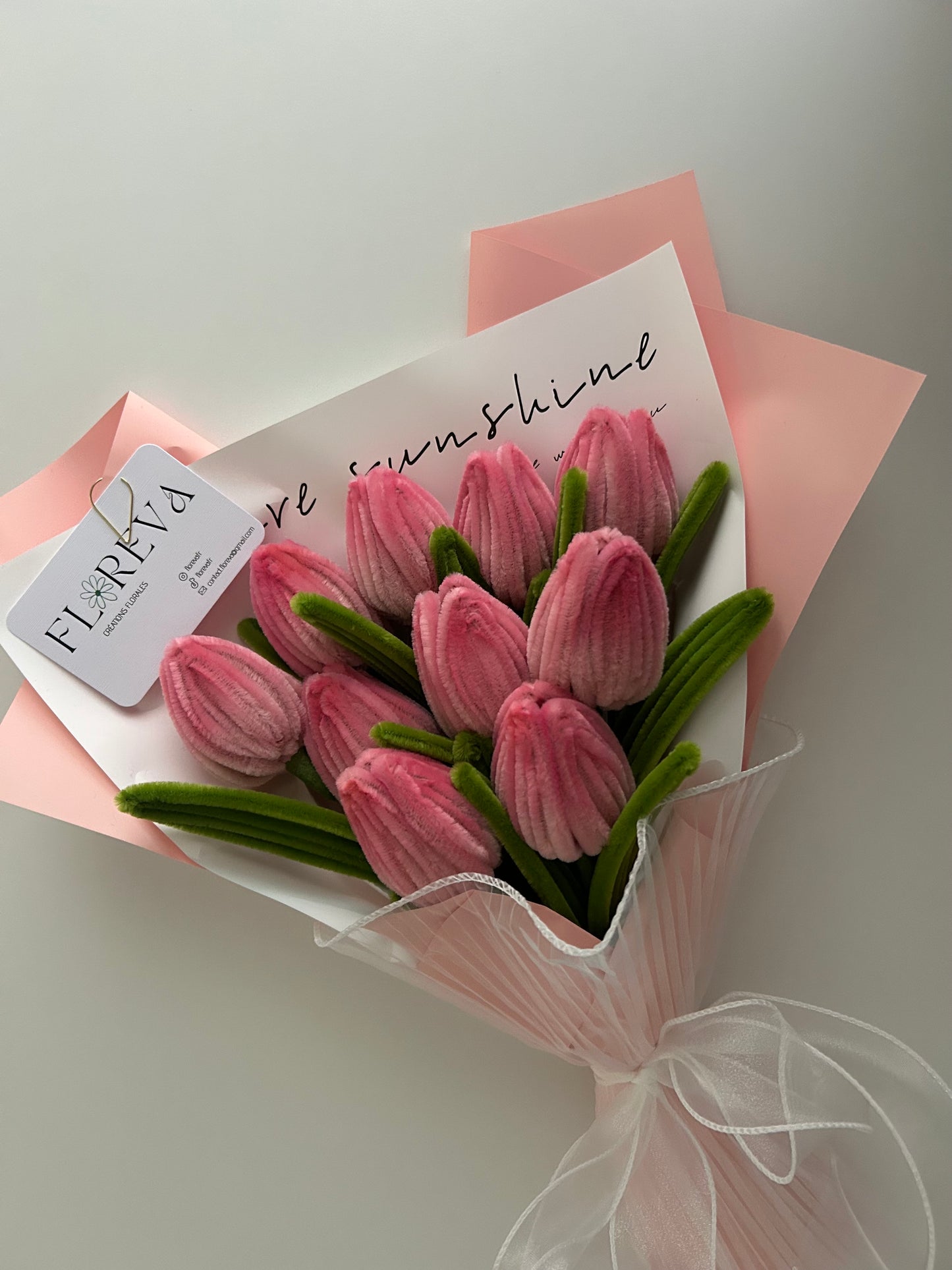 Tulipes en rose dégradé